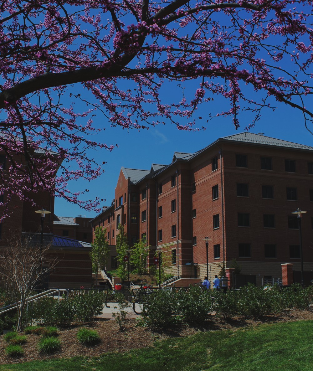 image of busch campus