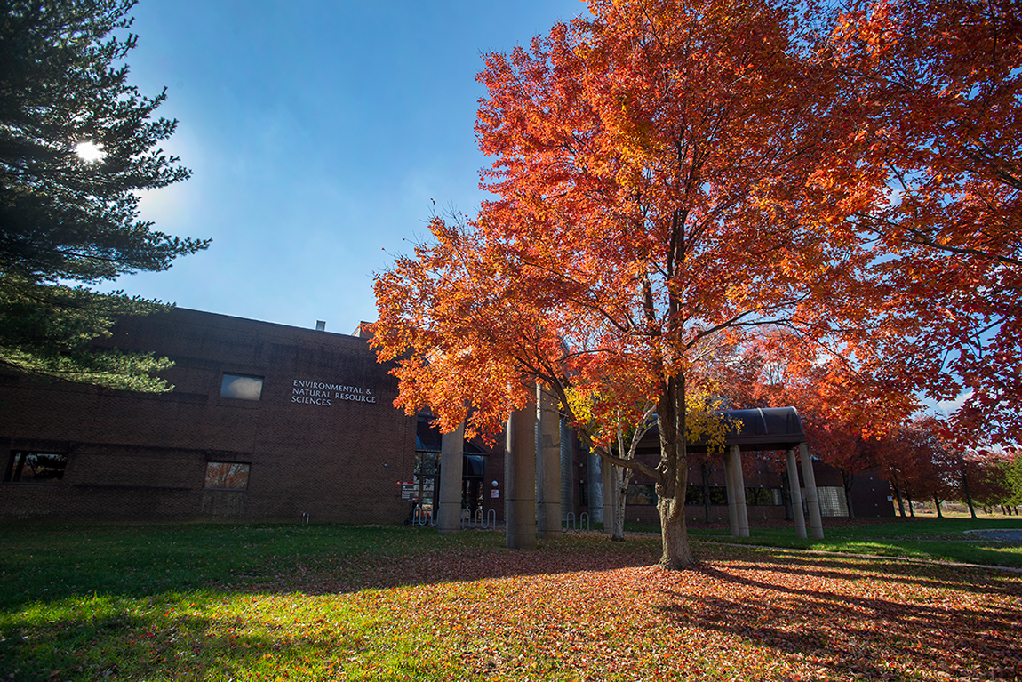 Cook Campus in Fall